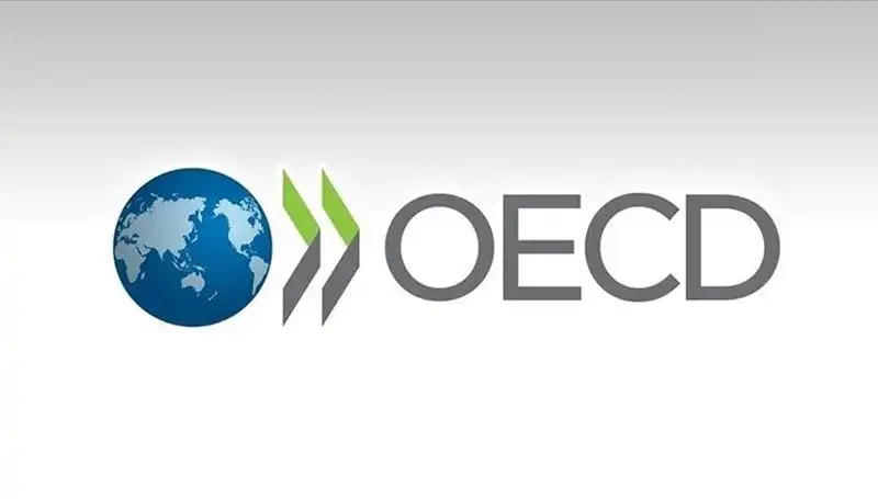 OECD'ye Göre Türkiye Ekonomisi İçin Büyüme Tahmini Nedir?