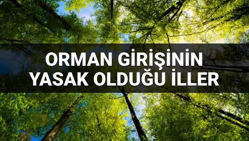 2025’te Ormana Girişi Yasaklanan İller: Hangi Yerler Kapsamda?