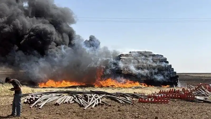 Mardin'de Korkutan Anız Yangını: Doğa Ve Tarım Tehdit Altında