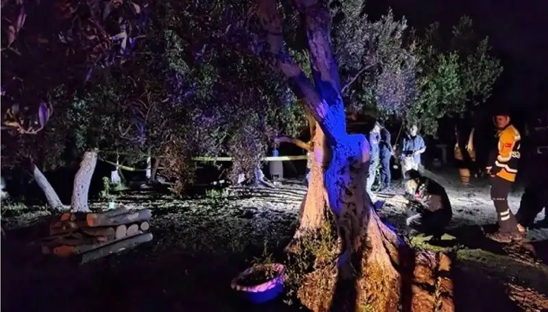 Çiftlikteki Şok Edici Baltalı Vahşet: Tutuklama Gerçekleşti