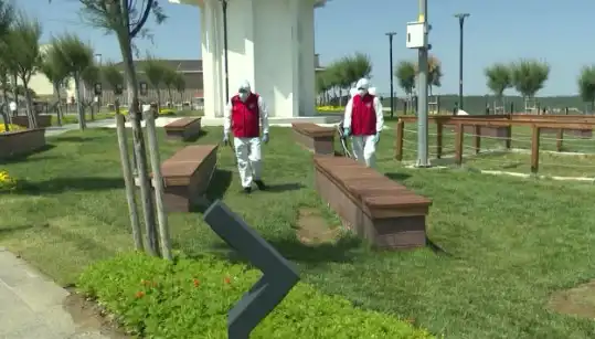 Kene Görülme Sıklığı Artıyor: Önlemler ve İlaçlama Çalışmaları Hız Kazandı