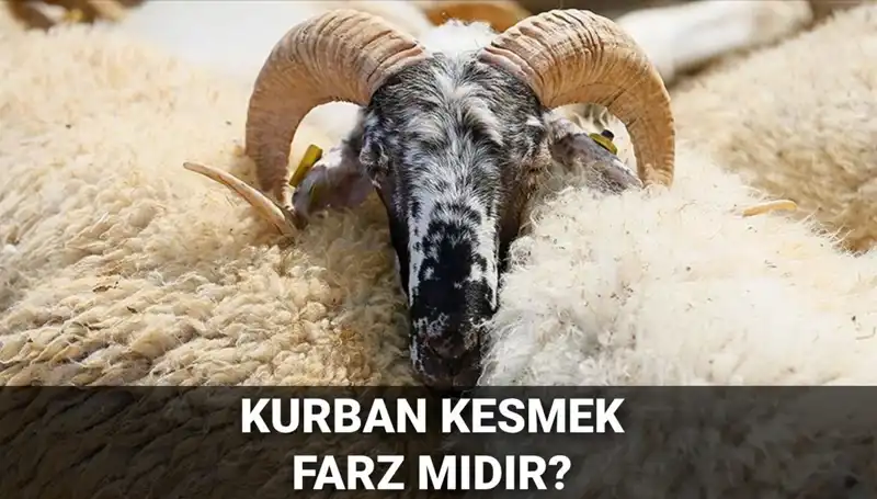 Diyanet'e Göre Kurban Kesmek Farz Mı? İşte Şartları!