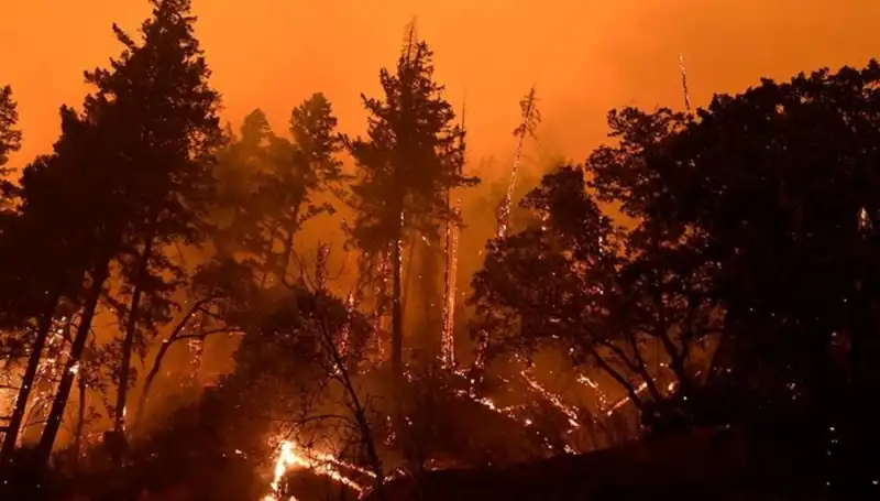 Orman Yangınlarında Suç Şüphesi: 13 Kişi Tutuklandı
