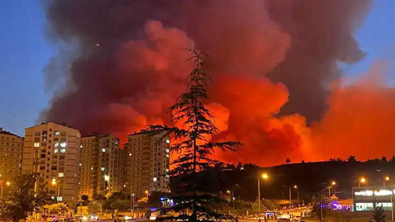 Bursada Yangın Alarmları: Şehirdeki Felaketin Ardındaki Gerçekler