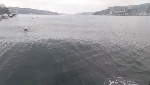 İstanbul Boğazı’nda Dalgaların Yükselmesi, Denizde Tehlike Mi Oluşturuyor?