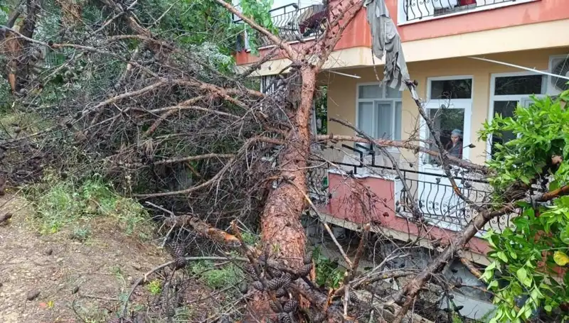 Yağmurların Ardından Gelen Felaket: Bina Devrildi, Can Kaybı Korkuttu