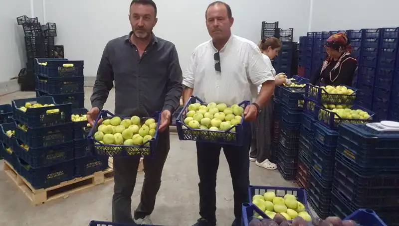 Mersinli Çiftçilerin Yüzleri Gülerken, İhraç Fırsatları Artıyor