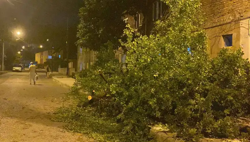 Karabük'te Fırtınanın Yarattığı Yıkım ve Sonrası