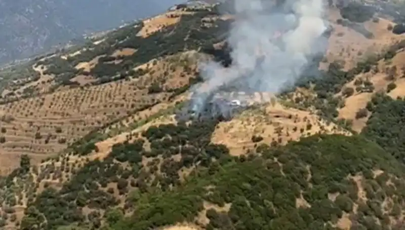 Aydın’da Korkutan Zeytinlik Yangını: Yangının Nedeni ve Sonrası