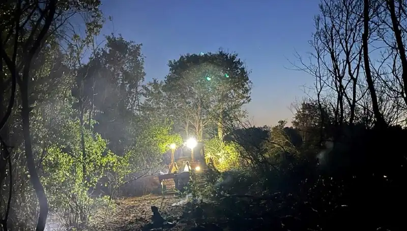 Edirne Orman Yangını Kontrol Altına Alındı: Son Durum ve Detaylar