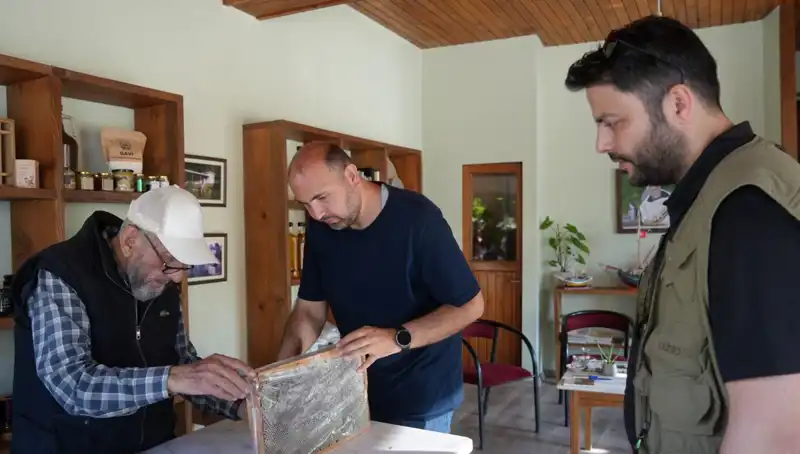 Doktorlardan Uyarı: Bu Doğal Malzeme Hem Şifa Hem Tehlike Taşıyor!