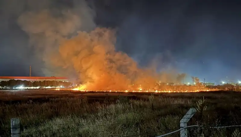 İzmir'de Gece Yarısı Yangın Paniği: Vatandaşlar Ne Yaptı?