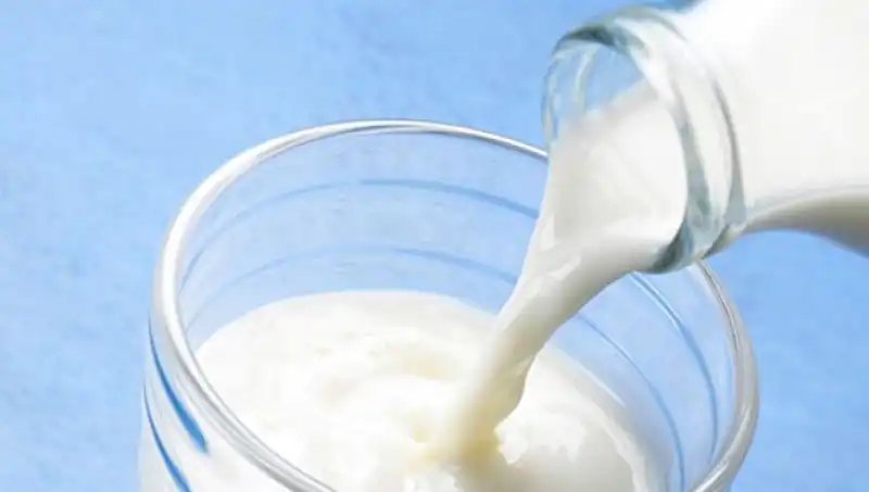 2025'te Süt Litre Fiyatı Ne Olacak? Çiğ Süt Fiyatlarında Son Durum