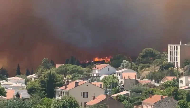Avrupa'nın Yeşil Kalbini Koruyan Ormanlar, Yangın Tehdidi Altında