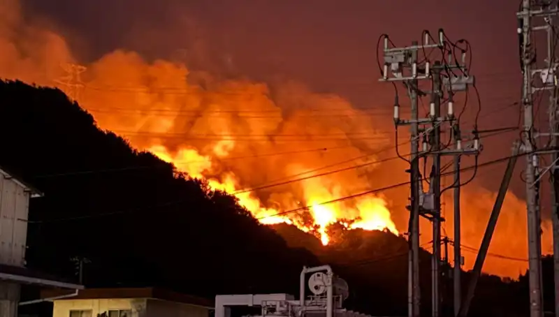 Japonya'da Orman Yangınları Alarm Veriyor: İki Eyalet Közde Yanıyor