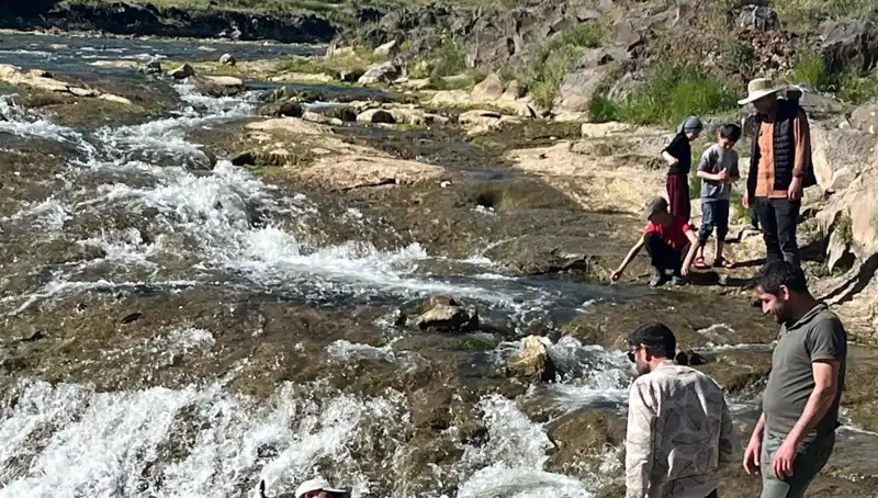 İnci Kefalinin Büyük Göçü: Doğanın Büyüleyici Yolculuğu Başladı!