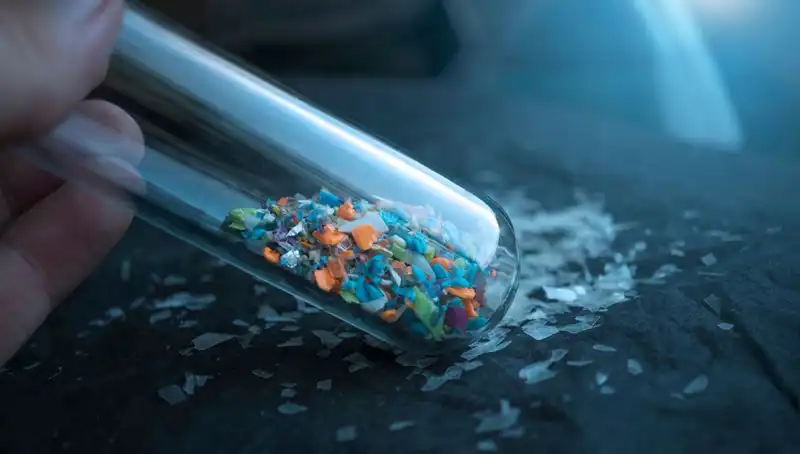 Mikroplastikler İnsan Beynine Kadar Ulaşıyor: Sağlık Üzerindeki Etkileri Neler?